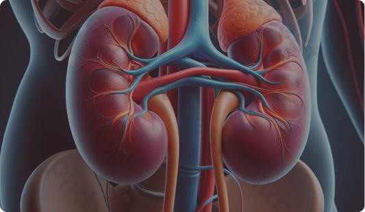 Nefrologia é coisa séria